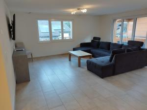Posezení v ubytování Harder Apartment - Aare Jungfrau AG