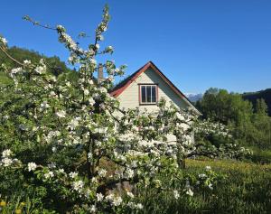Κήπος έξω από το Casa Grend +14 φωτογραφίες