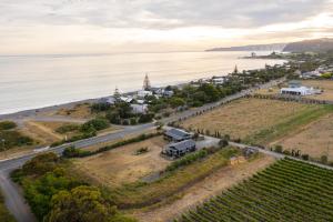 an aerial view of a vineyard next to the ocean at Beach Front Wine makers cottage in Te Awanga