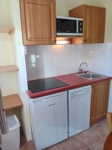 une petite cuisine avec un évier et un micro-ondes dans l'établissement Terrasses D 502 PARC NAT VANOISE appart 4 pers, à Val Cenis