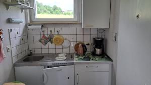 Η κουζίνα ή μικρή κουζίνα στο Harzer Ferienwohnung mit Pool und Sauna