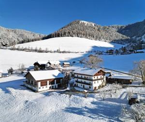 a house covered in snow in a snowy field at Pardellerhof Lüsen in Luson