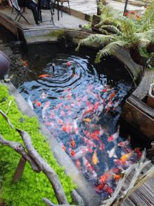 Gallery image of Mộc Homestay Trạm Tấu in Cham Ta Lao