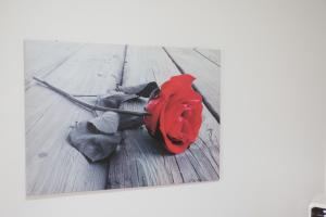 Fotografie z fotogalerie ubytování The Maze Vibo B&B v destinaci Vibo Valentia