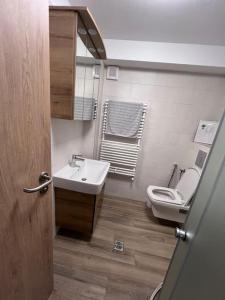 a bathroom with a sink and a toilet at The LODGE, separate apartment in a vila, with floor heating, groundfloor in Sinaia +43 photos