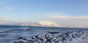 Billede fra billedgalleriet på Green House Apartment i Reykjavik