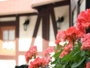 Zahrada ubytování Hotel Schützen