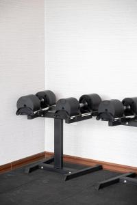Fitness centrum a/nebo fitness zařízení v ubytování Kekehyu Business Hotel