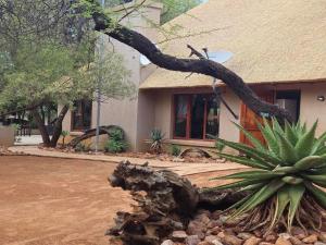 a uprooted tree in front of a house at PHAKELA PRIVATE LODGE in Thabazimbi