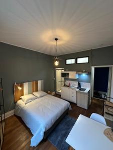 Η κουζίνα ή μικρή κουζίνα στο Émeraude 3 +4 φωτογραφίες