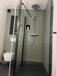 a bathroom with a shower and a toilet at The Coach House in Saint-Côme-de-Fresné