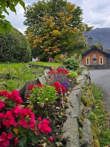 Φυσικό τοπίο κοντά σε αυτός ο ξενώνας