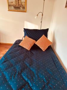Ένα ή περισσότερα κρεβάτια σε δωμάτιο στο Apartament Orzechowy Raj