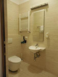 a bathroom with a toilet and a sink and a mirror at Villa AnnaLia - Rooms to Rent in Bacău