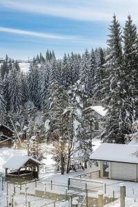 ヤブルニツァにあるГотельний комплекс Парламент, Яблуницяの雪に覆われた森と木々と建物 +142枚の写真