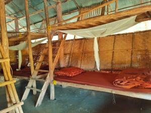 Palanda nebo palandy na pokoji v ubytování Cody Backpackers