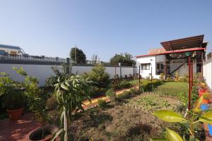 a garden in front of a house with plants at Aditya Cottage in Rishīkesh
