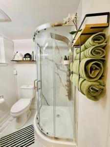 a bathroom with a glass shower and a toilet at Cozy private backyard garden studio in Pickering +25 photos