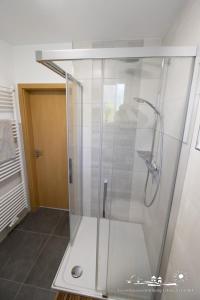 a shower with a glass door in a bathroom at 19 Ferienwohnung im Fritz-Bleyl-Weg 16b EG in Burg auf Fehmarn