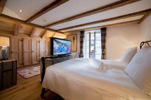 TV a/nebo společenská místnost v ubytování Hotel Olden