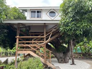 Pare LODGE TAHITI外面的花园
