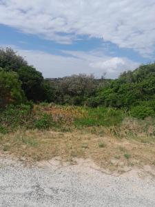 Φυσικό τοπίο κοντά σε αυτό το κάμπινγκ