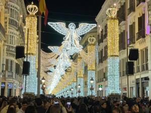 tłum ludzi idących ulicą z lampkami świątecznymi w obiekcie La guevara de Victoria apartment, city center w Maladze