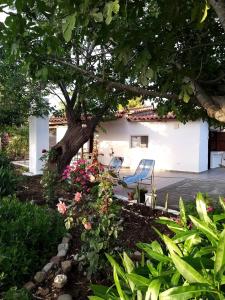 a chair under a tree in a garden at Maria's Home in Kakovatos