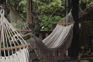 Fotografie z fotogalerie ubytování Charlys little House v destinaci Bukit Lawang