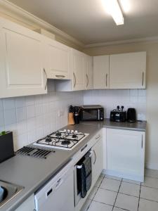 Η κουζίνα ή μικρή κουζίνα στο Bishybarnabee lodge
