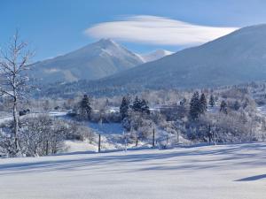 モイセイにあるCabana Maramures Landscapeの雪山の上のレンズ状雲