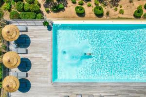 a polar bear swimming in a swimming pool at Résidence Les Terrasses de Rondinara in Bonifacio