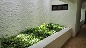 Giardino di Casa Iola