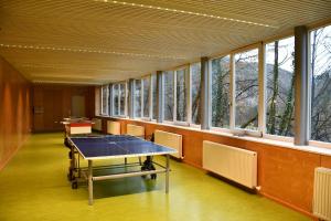 Stolní tenis v ubytování Bildungshaus Arbogast nebo okolí