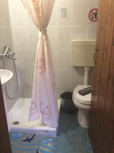 a bathroom with a toilet and a shower curtain at Ey-Giann in Karpenision +98 photos