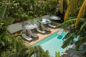 Bazén v ubytování Maison Tropical nebo v jeho okolí