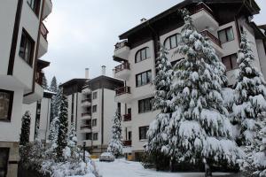 un albero innevato di fronte a un edificio di Sunny two bedroom apartment 12 in Tulip , Flora Residence - prime location! a Borovets