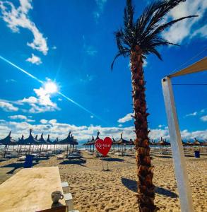 Παραλία σε ή κοντά σε αυτό το διαμέρισμα