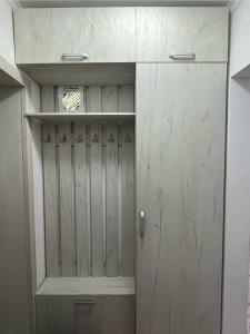 a closet with a wooden door in a room at Уютная однокомнатная квартира в посёлке Щучинский in Uchitelʼ