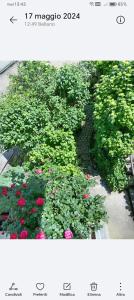 Giardino di Carlotta House-LT
