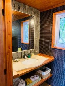 a bathroom with a sink and a mirror at Wine Lodge Pucón in Pucón +16 photos