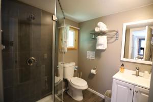 a bathroom with a shower and a toilet and a sink at Lakeside Resort in Watkins Glen +37 photos