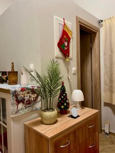 Fotografie z fotogalerie ubytování Niki Cottage v destinaci Volos