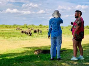 two people looking at a herd of elephants in a field at Ceylon Gate Safari Lodge in Embilipitiya
