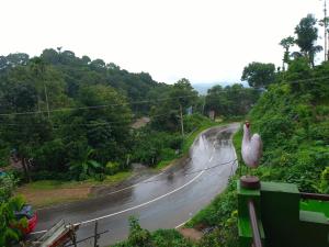 a white bird standing on the side of a road at Abiraksha Stay Coorg in Madikeri