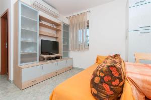 TV a/nebo společenská místnost v ubytování Apartments Brane