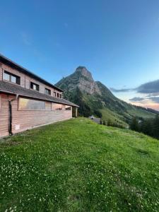 a house in a field with a mountain in the background at Refuge de Plan-Francey in Moleson