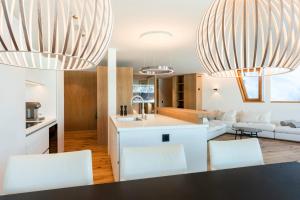 Kuchyň nebo kuchyňský kout v ubytování Apartment Mira Lej