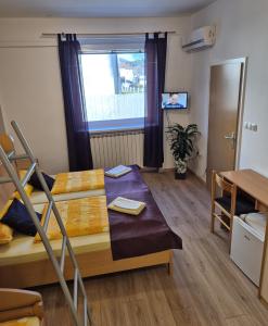 TV a/nebo společenská místnost v ubytování Apartments Furman - SELF CHECK-IN
