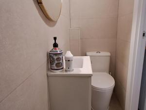 een kleine badkamer met toilet en wastafel bij Estudio pequeño in Madrid